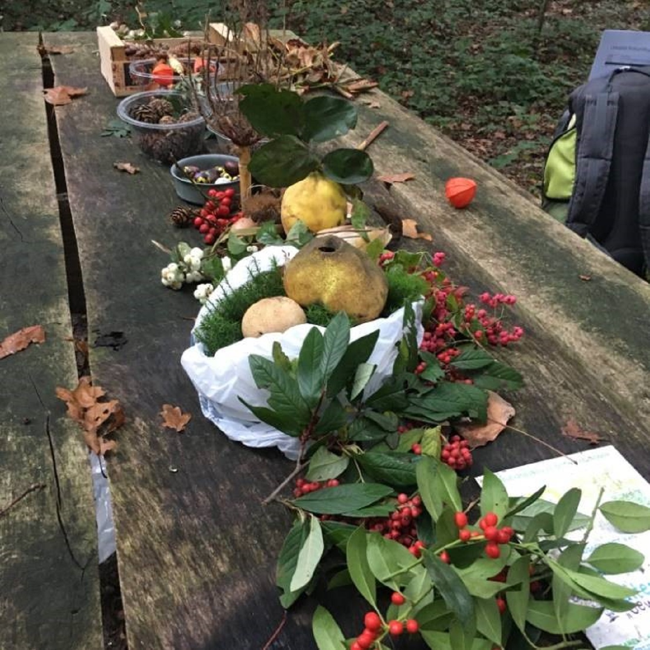 Brugklassers met visuele handicap bezoeken Belevingsbos