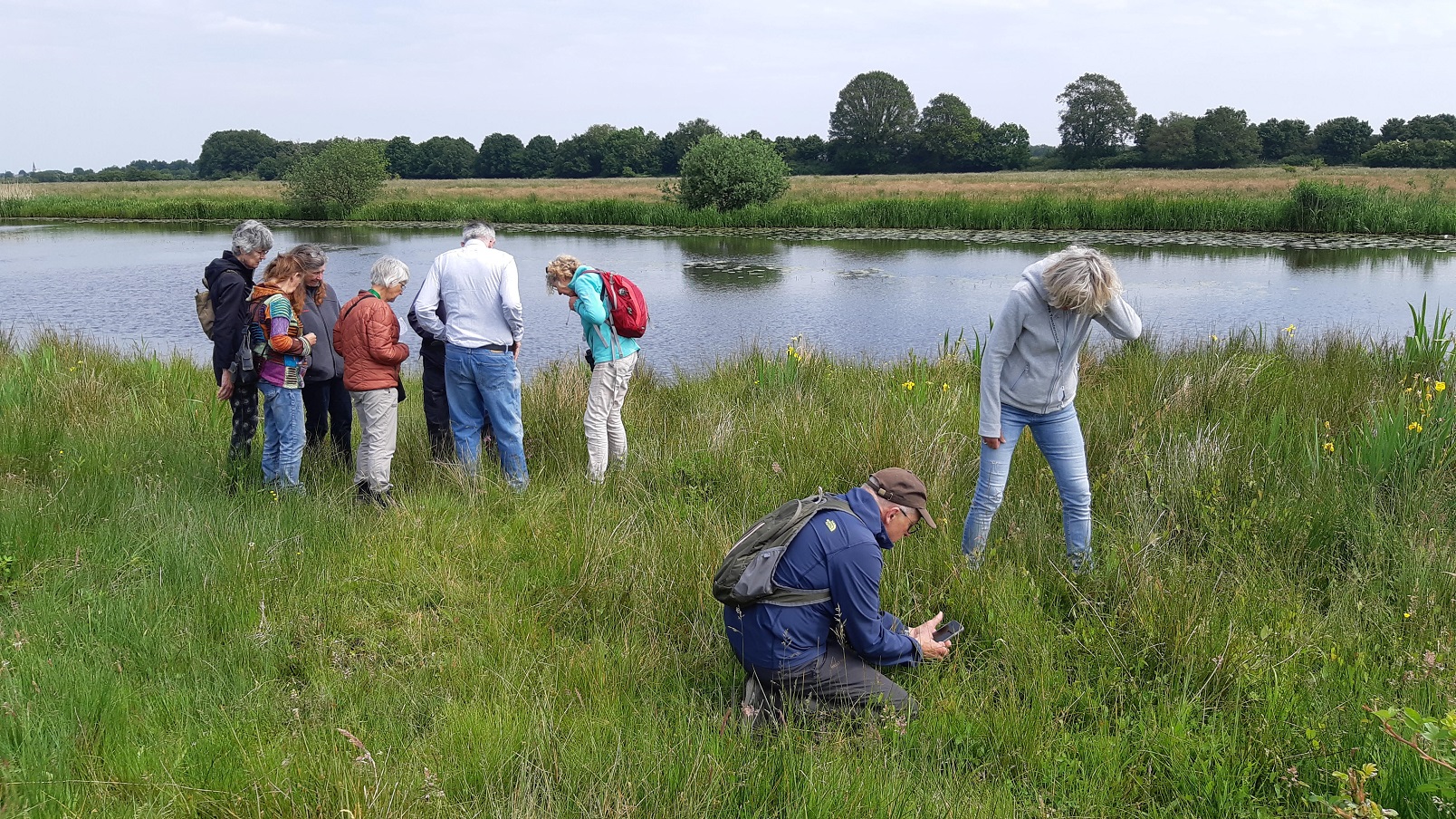 Cursus Wilde Planten succesvol afgerond