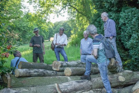 Visioterrein (voormalig) – Nieuw stadspark?