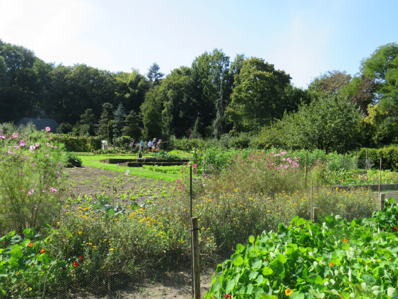 IVN Grave Wandeling 