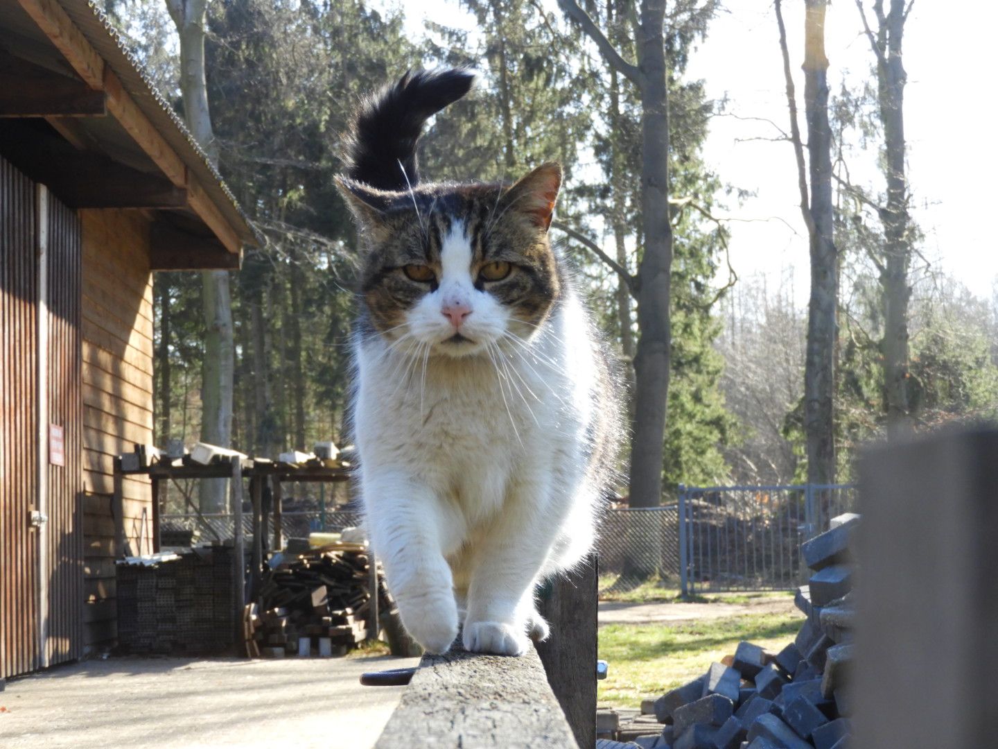 Jeugdgroep kreeg natuurfoto workshop