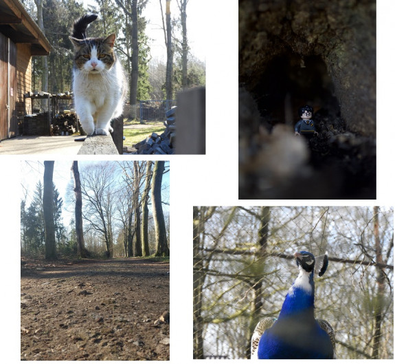 selectie fotoworkshop jeugd