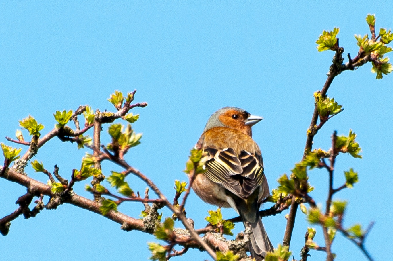 Nieuwe werkgroep: Natuurfotografie
