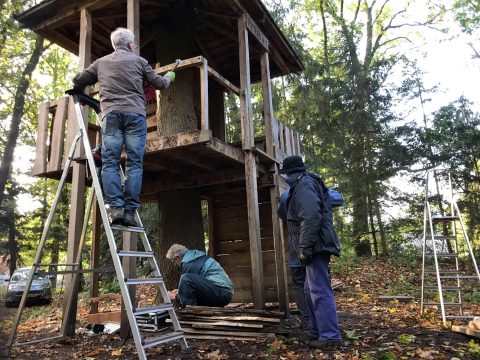 Aanpassingen boomhut Belevingsbos