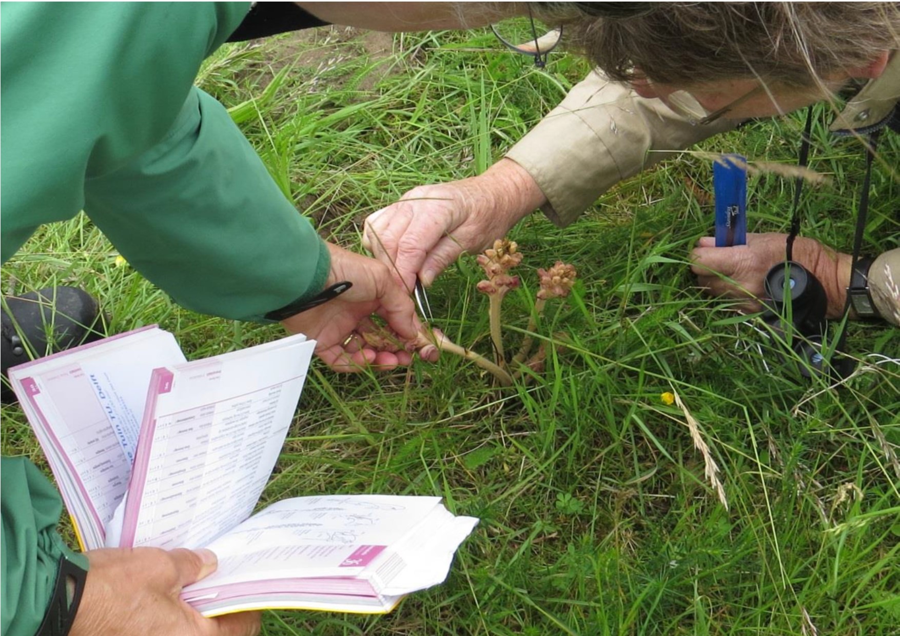 Lezing Levend archief planten