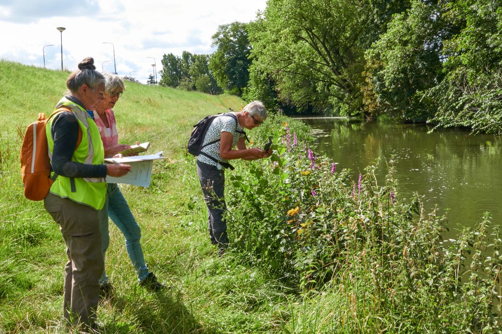 Flora werkgroep wandeling nectarindex