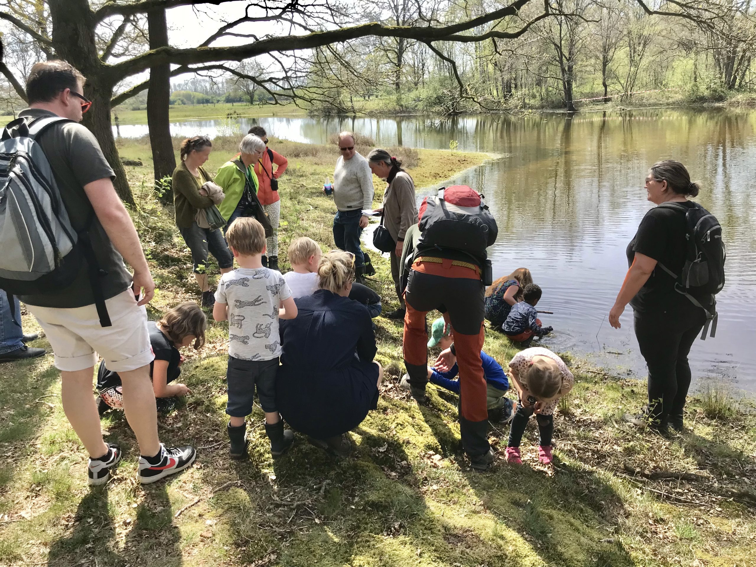Groep volwassenen en kinderen verkent de oever van een bosmeer bij zonnig weer.