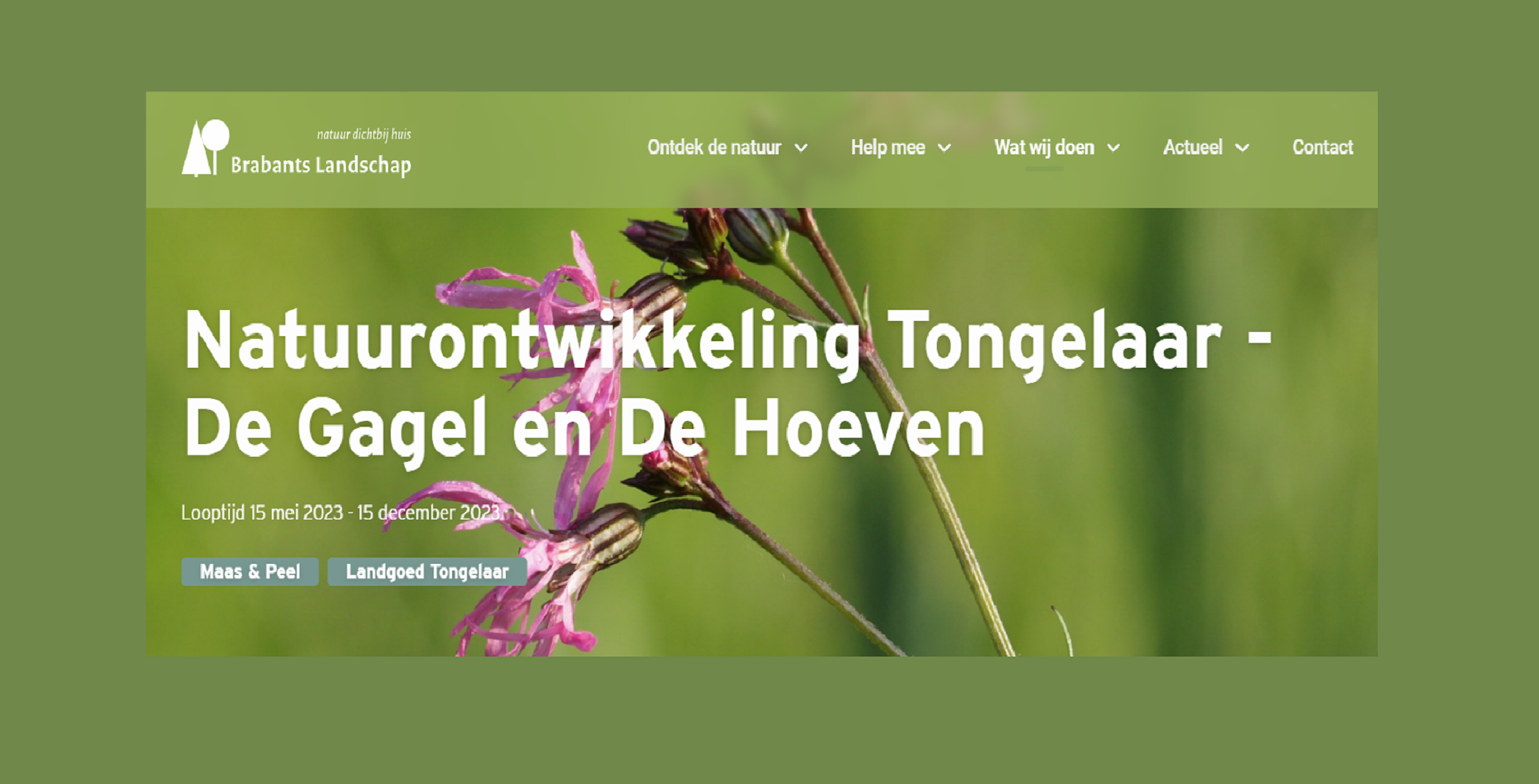 Natuurontwikkeling Tongelaar-Gagel_Hoeven