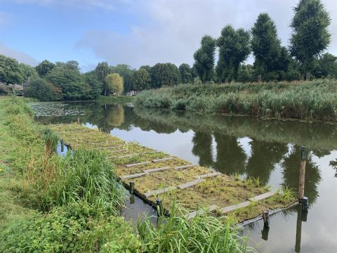 Drijvend eiland in Graafsche Raam