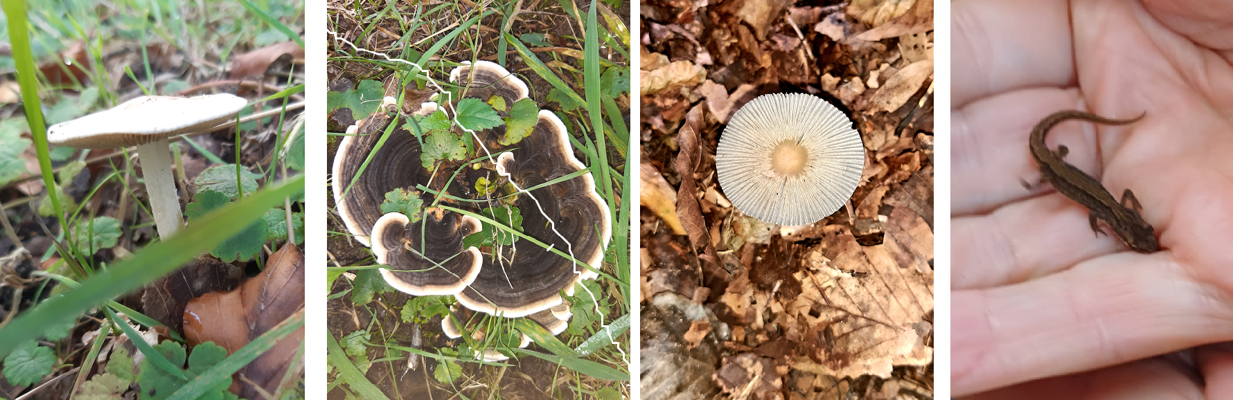 Herfst jeugdochtend 2023