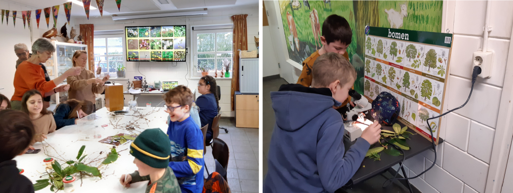 jeugd winterbloeiers