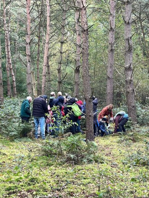 Groep mensen in een bos verzameld rond een activiteit op de grond tussen bomen.
