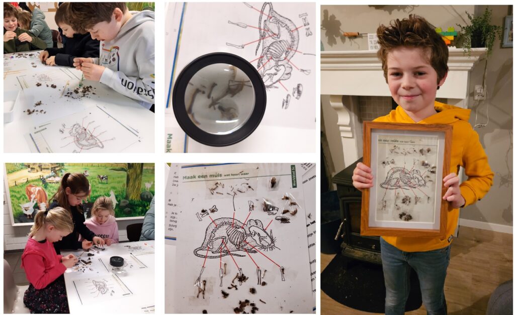 Braakballen jeugd IVN januari 2025