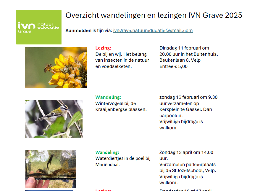 kopfoto jaarprogr 2025