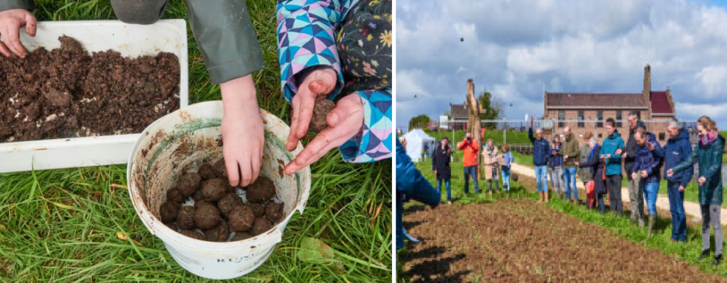 zaadbollen Speelraam