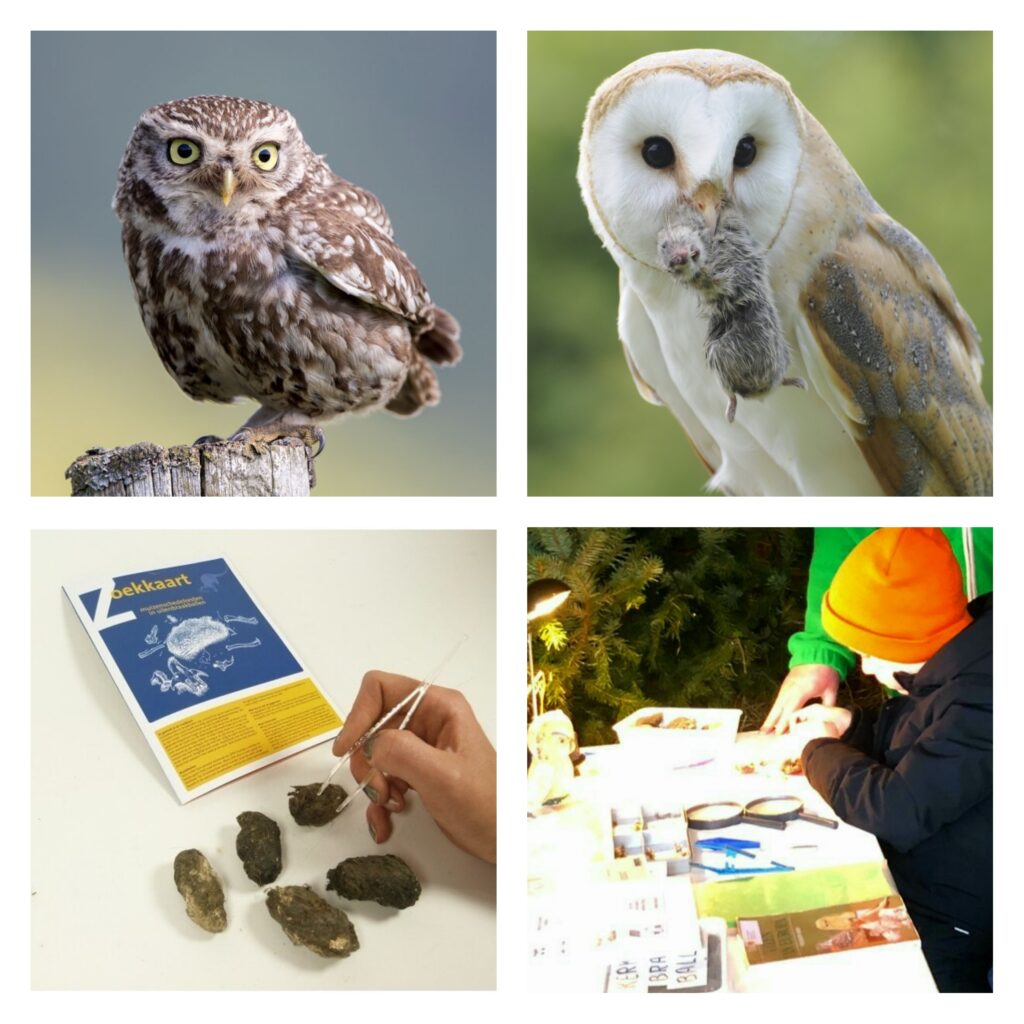 uilen kerstmiddag kinderboerderij