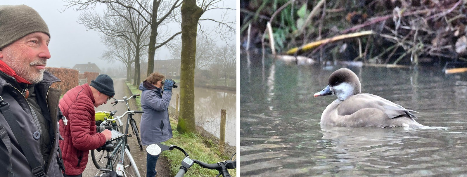 Links observeren mensen vogels met verrekijkers en fietsen; rechts zwemt een eend in het water.