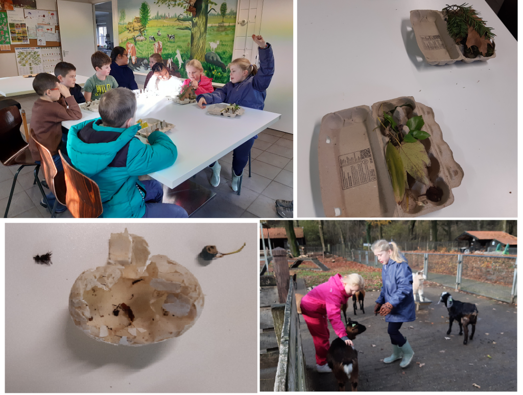 Jeugd herfst 29-11-2025