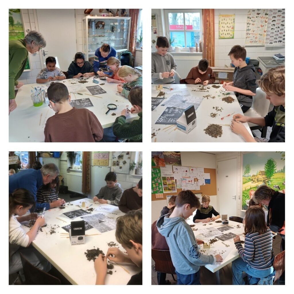 Jeugd IVN uilen en braakballen