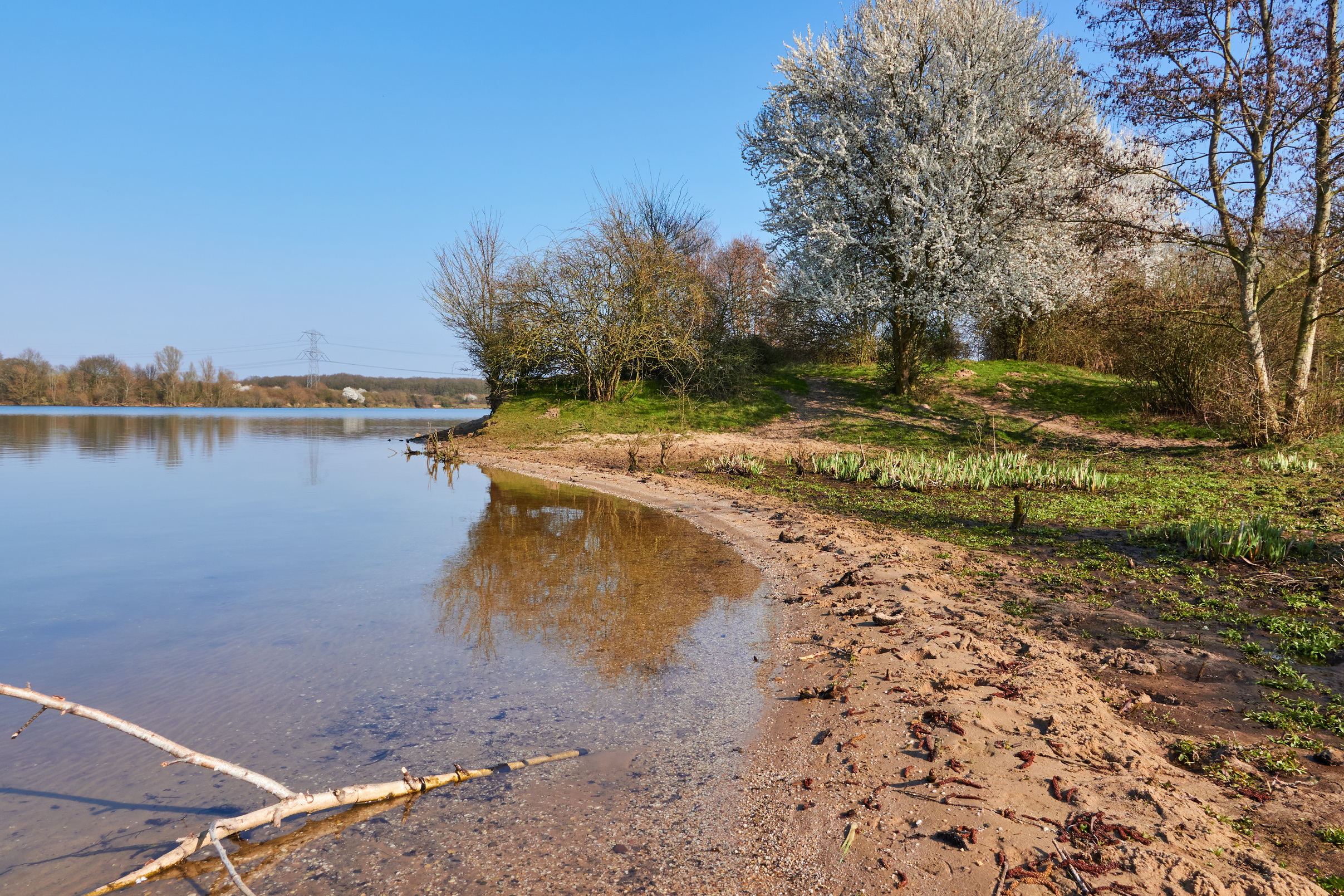 Cursus natuurgebieden Maasdal