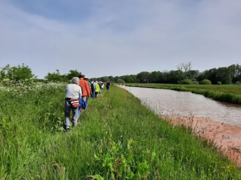 Mensen wandelen langs een groen pad naast een bruine rivier op een zonnige dag.