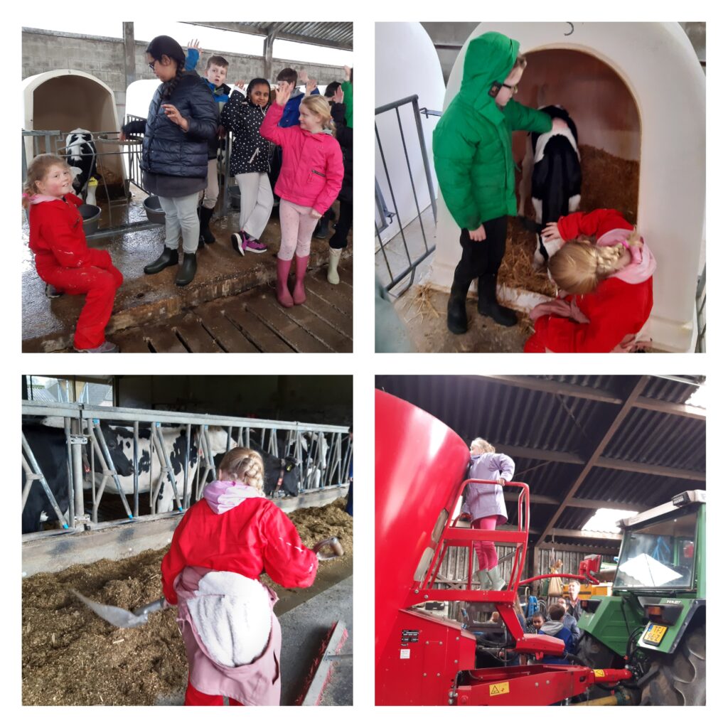 Melkveehouder Maassen Jeugd IVN