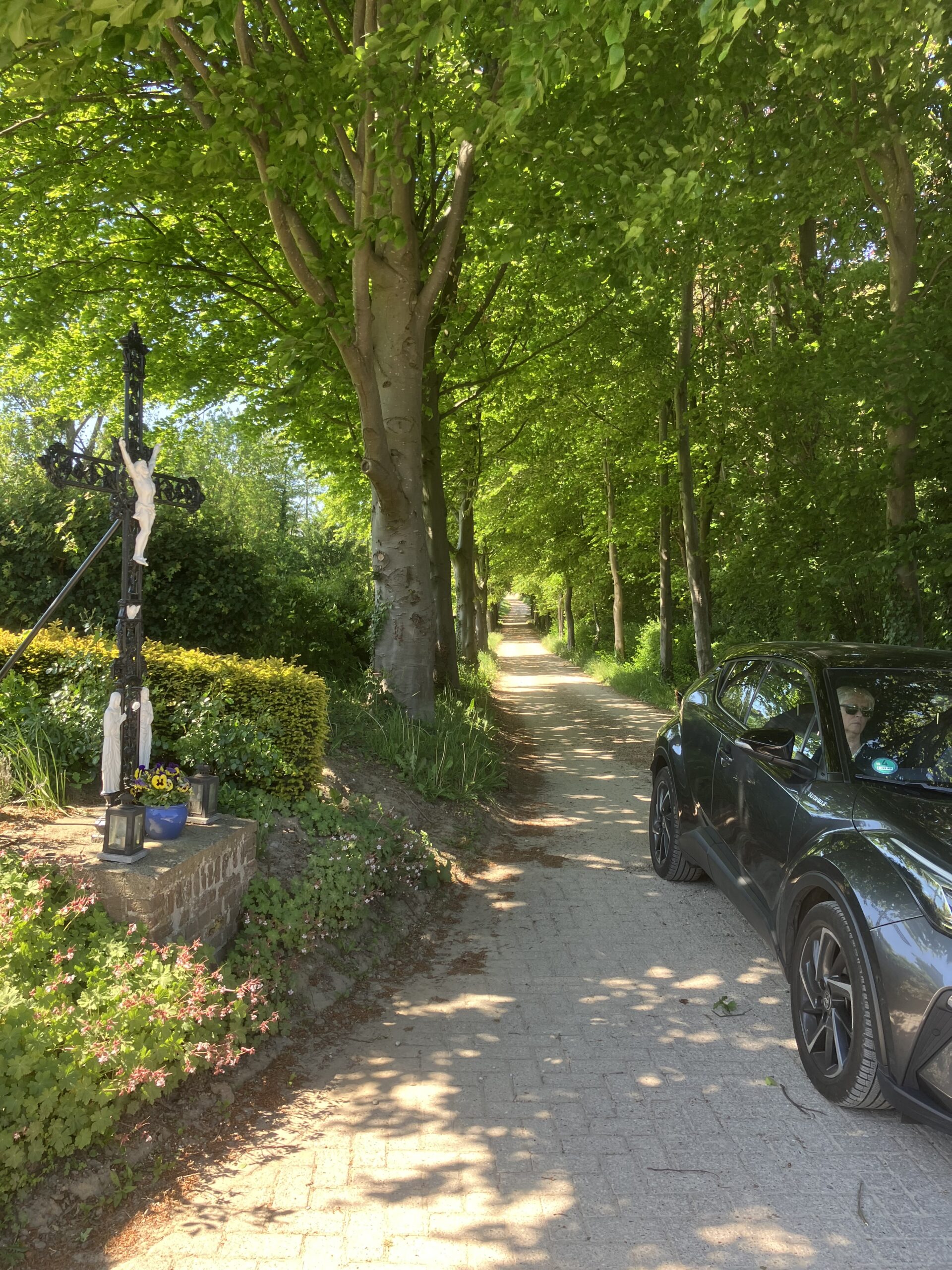 Pad omringd door bomen met een kruisbeeld en een auto aan de zijkant.