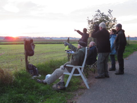 Mensen observeren de zonsondergang in een open landschap, sommigen met verrekijkers.