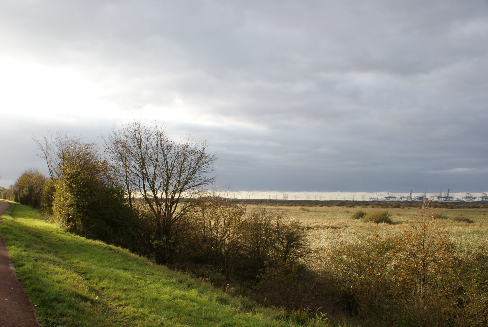 Groene Strand*