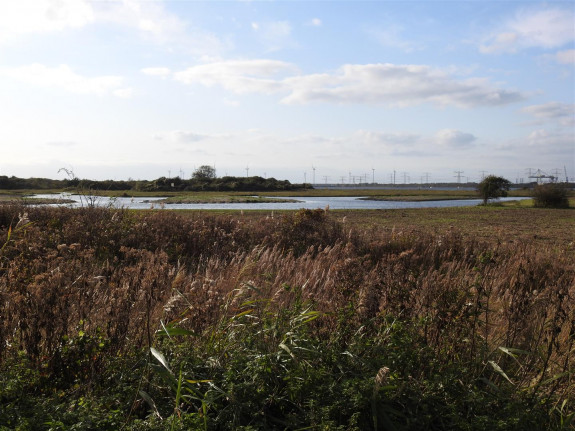 Groene strand - lagune