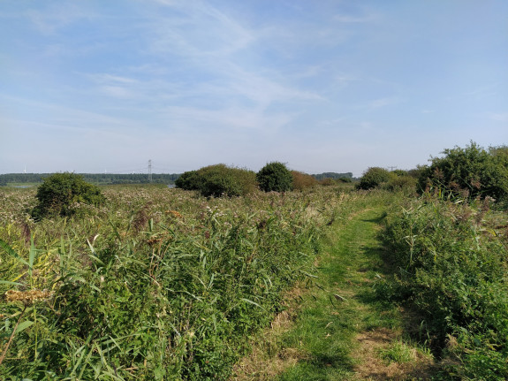 groene strand