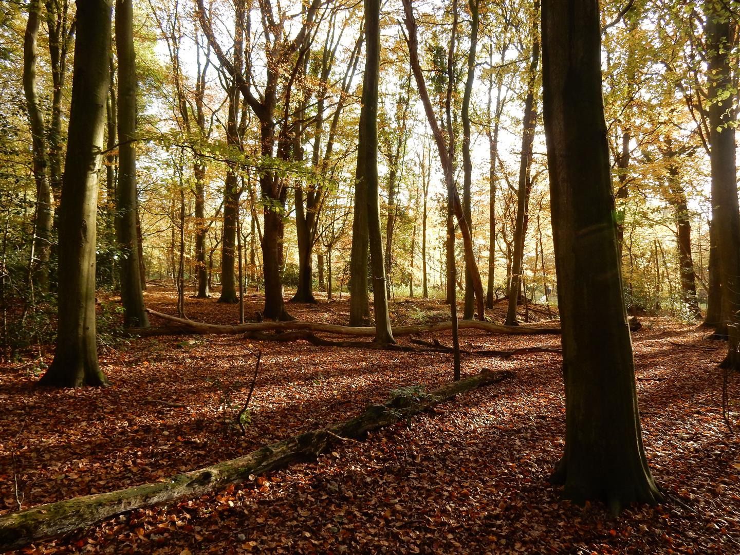 Landgoed Mildenburg*