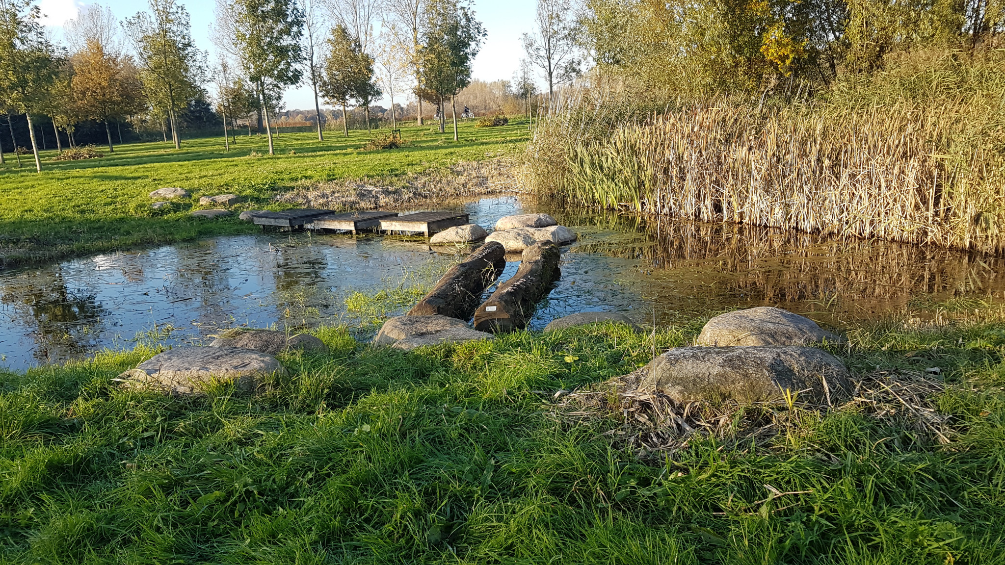 vrijheidsbos