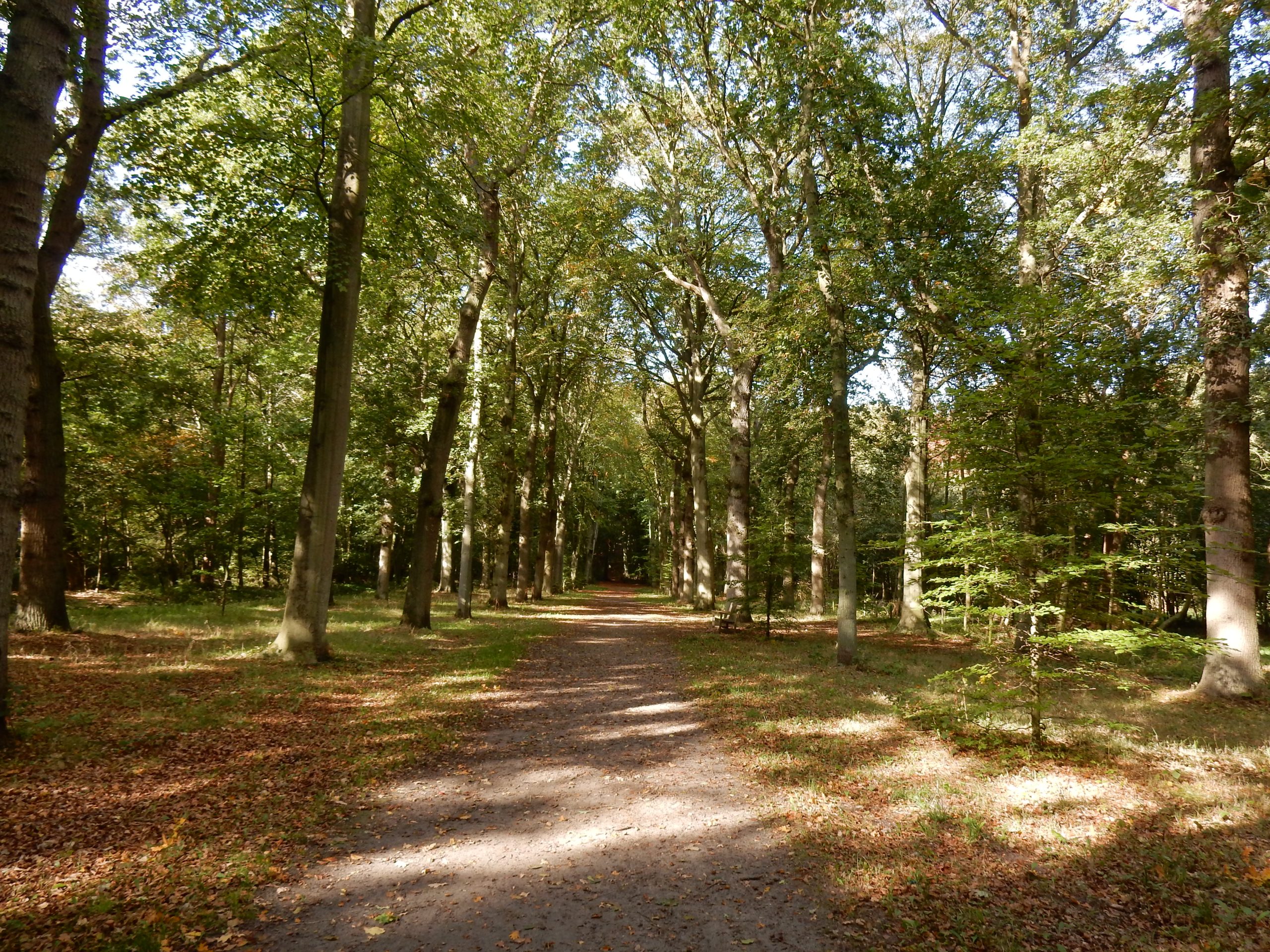 lange laan Mildenburg