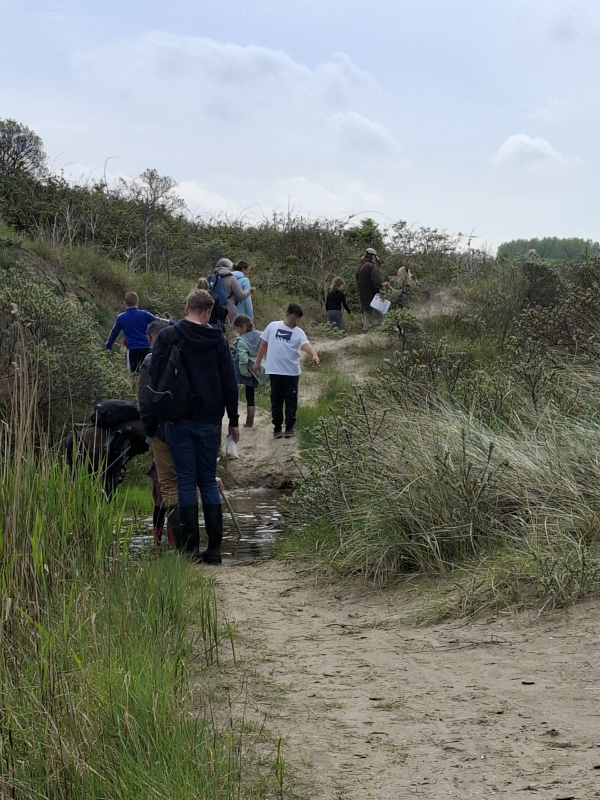 Groep mensen wandelt op een zandpad in de duinen, omgeven door groen struikgewas.