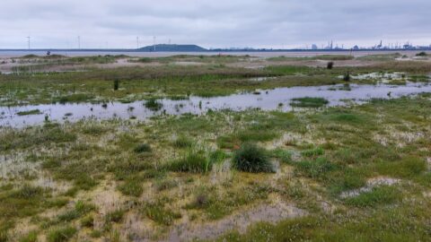 Uitgestrekte natte graslanden met windmolens en fabrieken aan de horizon onder een bewolkte hemel.