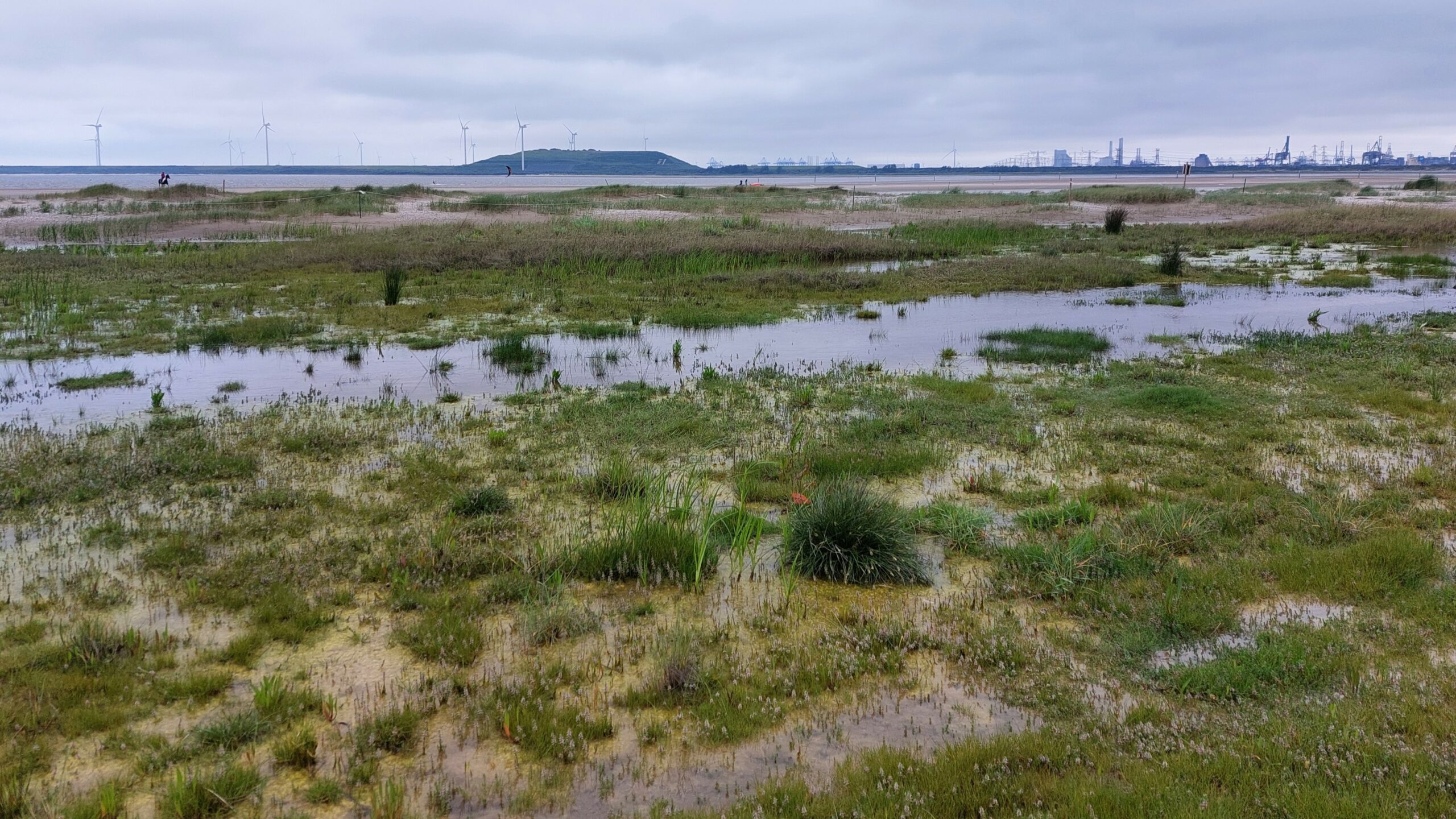 Uitgestrekte natte graslanden met windmolens en fabrieken aan de horizon onder een bewolkte hemel.