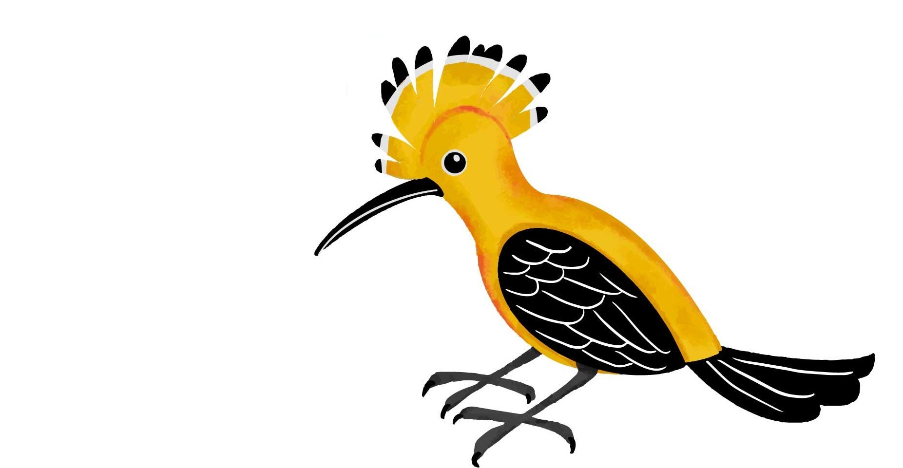 Illustratie van een felgekleurde geel-zwarte vogel met een opvallende kuif en lange snavel.