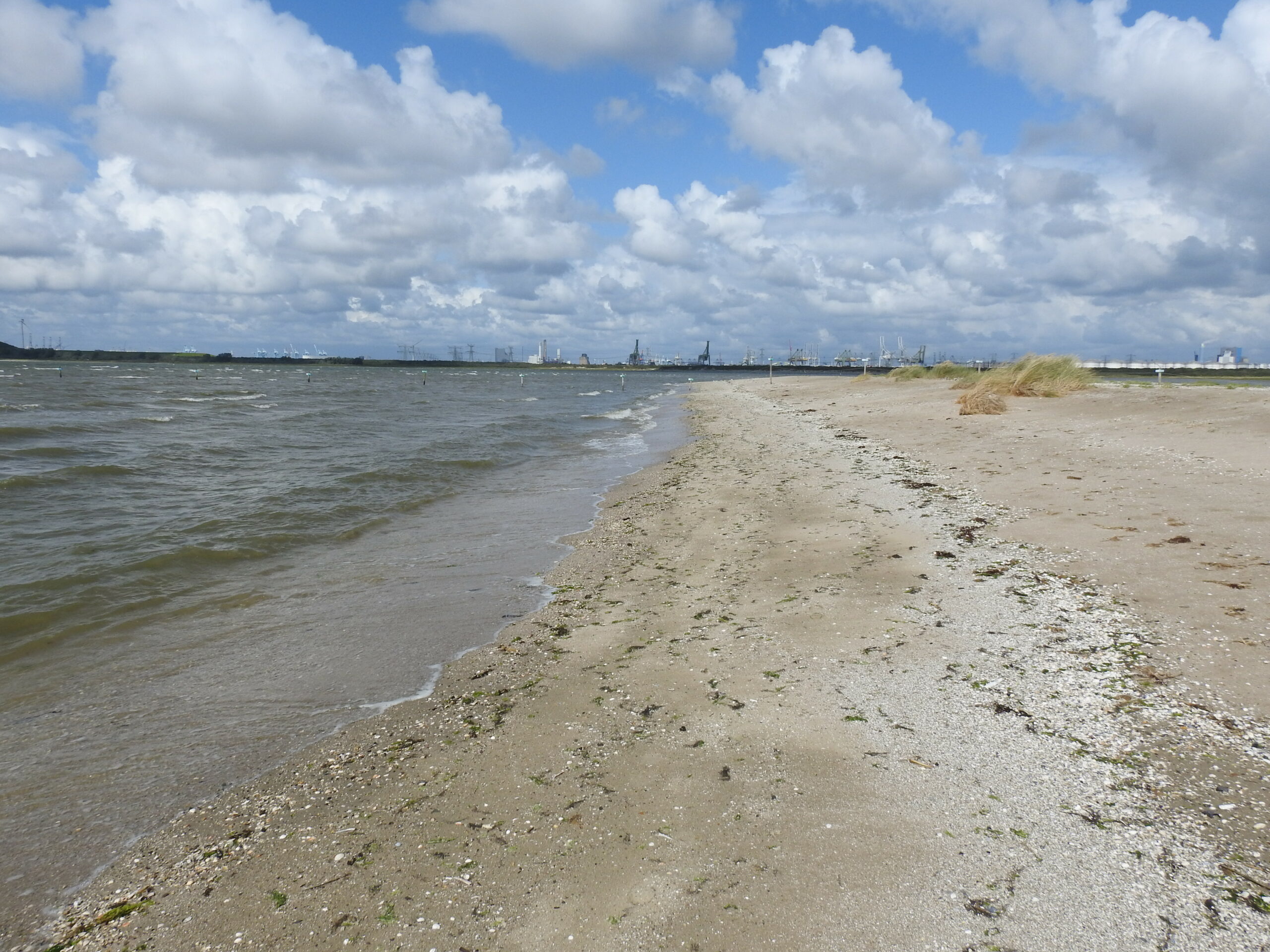 Zandstrand met grijze lucht en golvend water, industrie in de verte zichtbaar.
