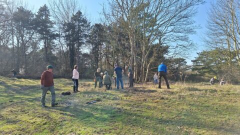Groep mensen werkt samen in een bosrijke omgeving op een zonnige dag.