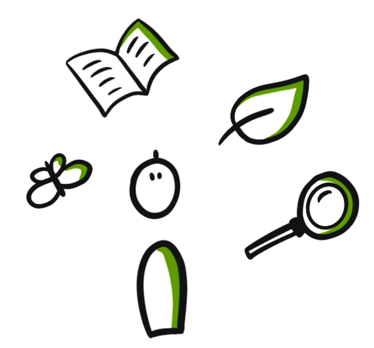 Illustraties van een boek, blad, vergrootglas, poppetje, en een vlinder met groene accenten.