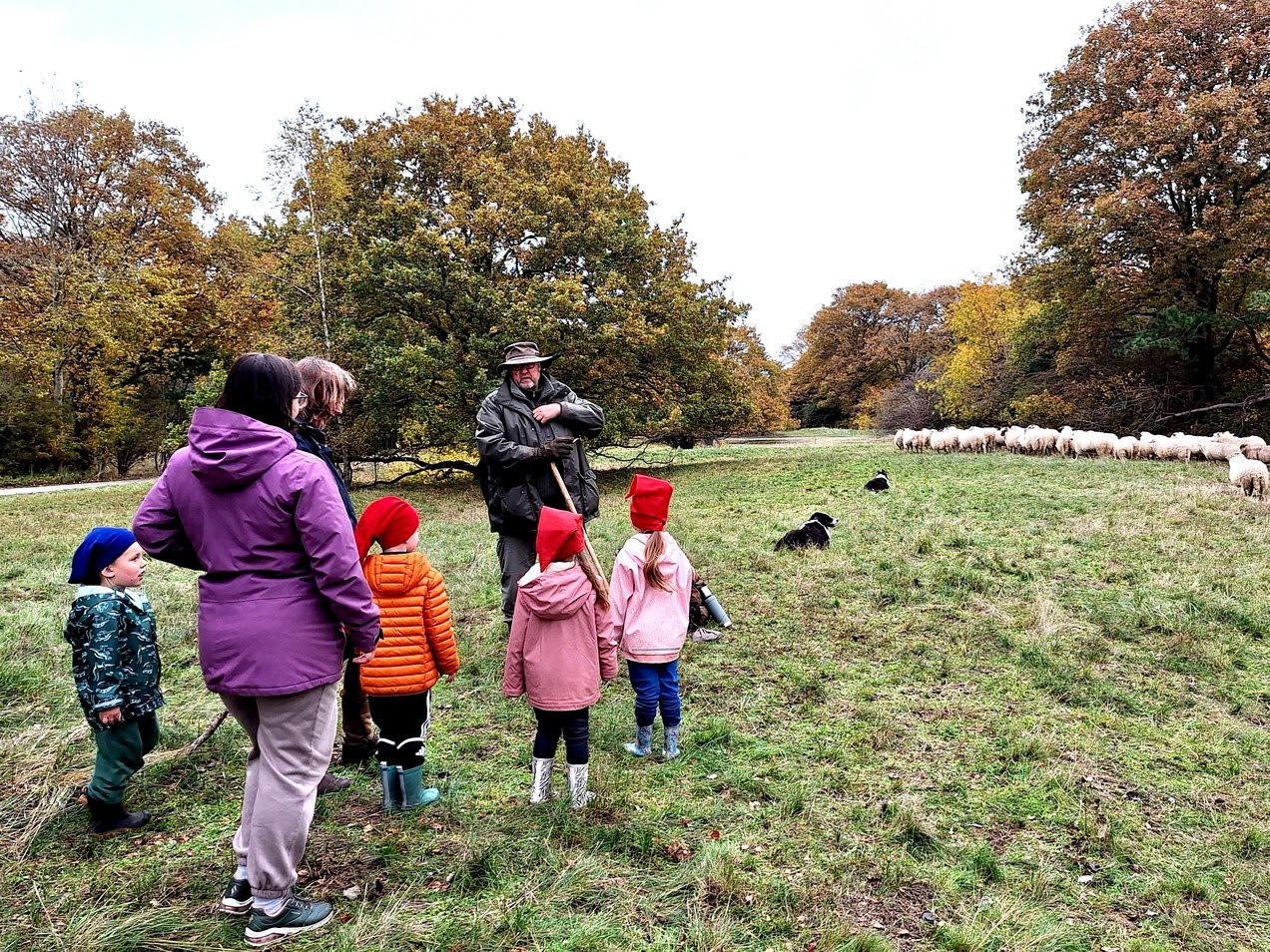 Groep mensen en een herder kijken naar schapen met honden in een herfstachtig veld.