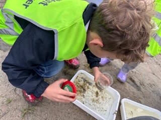 Kind onderzoekt waterleven met een vergrootglas bij een bak op een zandachtige ondergrond.