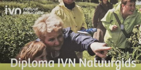 Groep buiten met IVN-logo, vrouw wijst iets aan. Tekst: Diploma IVN Natuurgids.