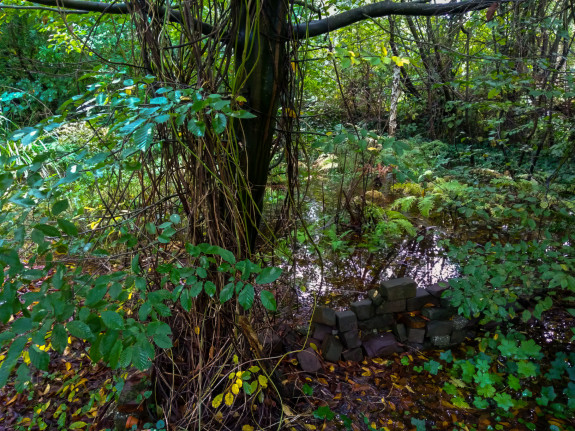 volkstuin,natuurtuin,Stadspark,Denise Humalda