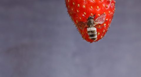 Blog #7