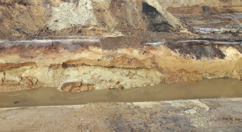 Blog #9
