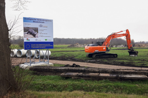 verbinding Zuidlaardermeer-Westerbroek,ecologische hoofdstructuur,aanleg,otter,Frans Kromme
