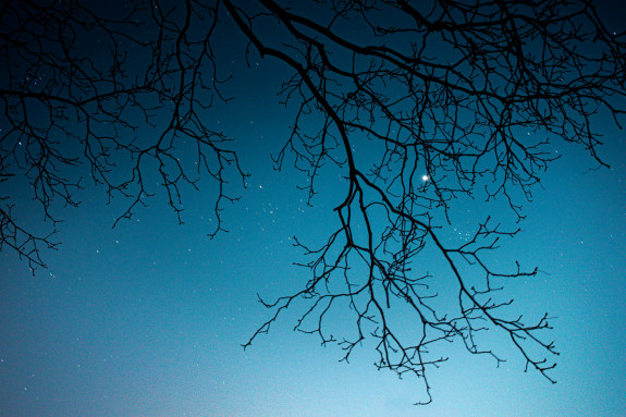 22 07 15_nachtexcursie_foto_tekst_0