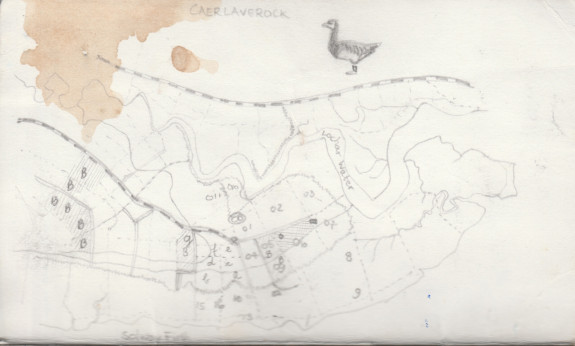 brandganzen,Schotland,herfst,vogeltrek,kaartje